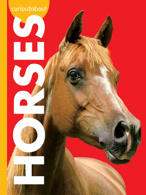 cover image of Curious about Horses